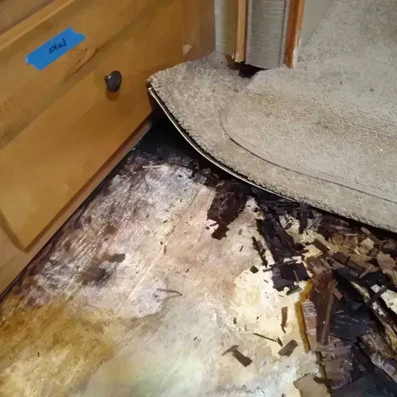 Wood Floor Water Damage in Marshall County, KS